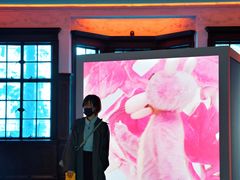-Nathalie Djurberg与Hans Berg“牛皮纸包裹的月亮”-Prada荣宅当季展览