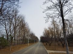 -青龙湖公园