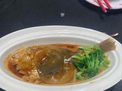 -新光酒家·河豚·海鲜·蟹料理(浦东店)