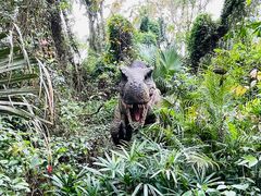 -海南热带野生动植物园