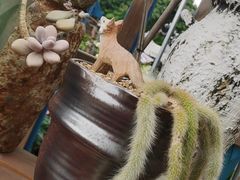 -桂林市花鸟市场