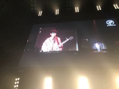 -南京奥林匹克体育中心-体育馆