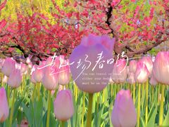 -朝阳公园