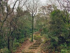 -杭州半山国家森林公园