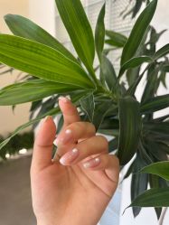 -七月美睫 美甲