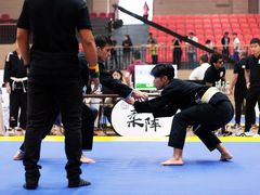 -菠萝格斗巴西柔术训练馆