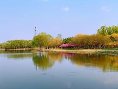 -大兴滨河森林公园