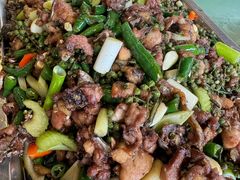 -铁山坪森林公园