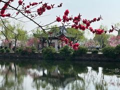 -无锡蠡湖国家湿地公园-蠡园