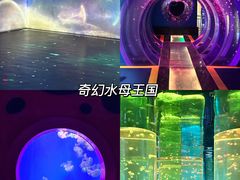 -海合安武汉极地海洋公园