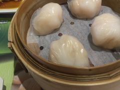 虾饺-添好运点心专门店(北角店)