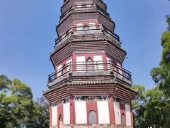 -顺峰山公园