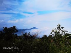 -武陵山森林公园