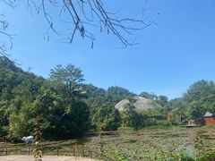 -野象谷景区