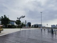 -九龙湖公园