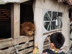 -天目湖涵田度假村