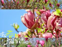 -北京十三陵国家森林公园蟒山景区