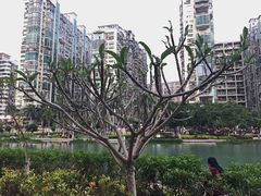 -江头公园
