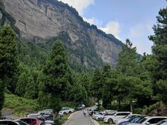 -重庆睡佛山森林公园