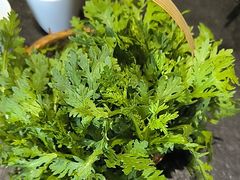 -东来顺(非遗·清真火锅·盛世广场店)