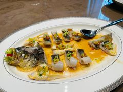 普宁豆酱蒸深海黄鱼-苏河·潮庭(苏河湾店)