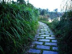 -梁鸿国家湿地公园