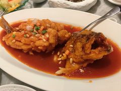 本帮松鼠鲈鱼-喜来登由由大酒店九州膳坊中餐厅