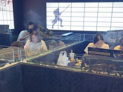 -牛武士寿喜烧·和牛火锅自助(全球首店)