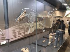 -北京周口店北京人遗址博物馆
