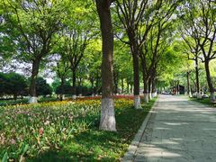 -上海鲜花港