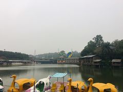 -观澜山水田园