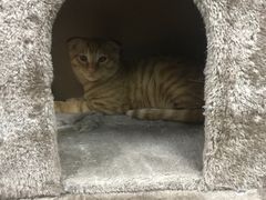 -康乐宝动物医院