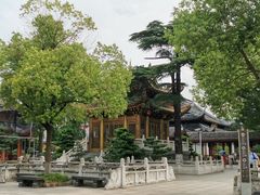 -上海东林寺(金山区)