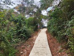 -芦仙山景区-飞越丛林探险乐园