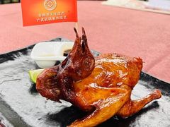 -侨美·唐荔园·40年地道粤菜