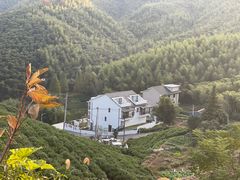 -莫干山风景区