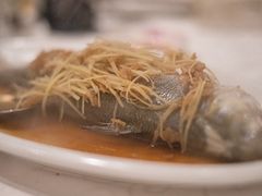 -光头匠