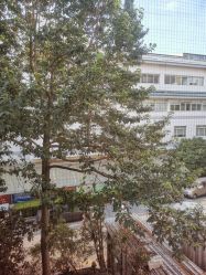 -苏州大学附属儿童医院(景德路院区)