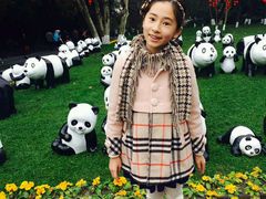 android_upload_pic-成都大熊猫繁育研究基地