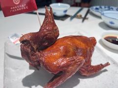 -侨美食家·41年地道粤菜(恒福路店)