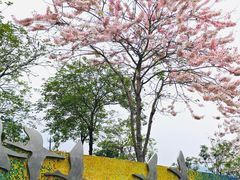 -白石龙音乐公园