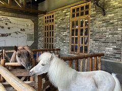 -巴倒烫陆派火锅山庄(南山总店)