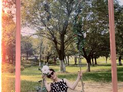 -秀丽东方
