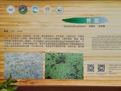 -西昌邛海湿地