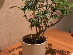 -CURRY YA 熟成咖哩專門店(深圳湾万象城店)