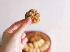 -珍妮曲奇聪明小熊(尖沙咀店)