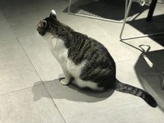 -UNI UNI(环亚凯瑟琳店)