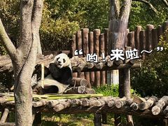 -扬州市茱萸湾风景区