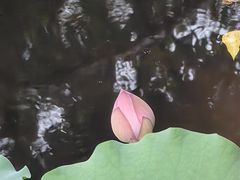 -烈士陵园(地铁站)