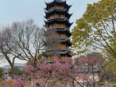 -青果巷历史文化街区